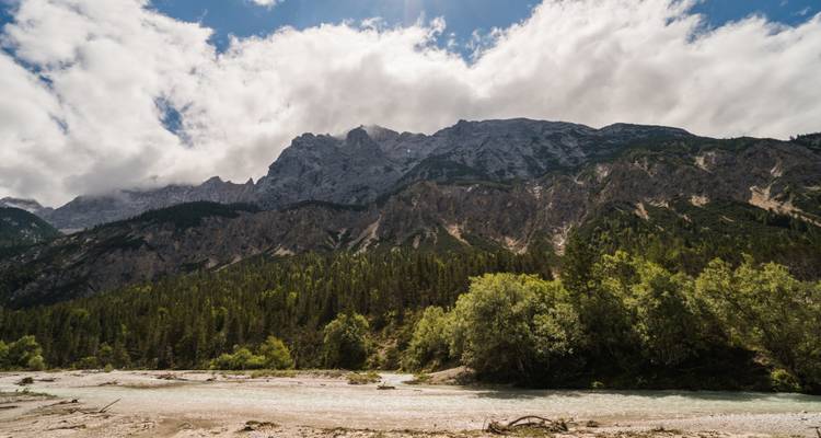 Rivière traversant une forêt avec un arrière-plan montagneux.