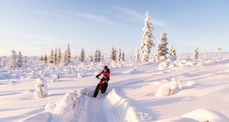 Person riding a bicycle in a snowy landscape.