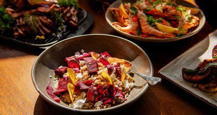 Surtido de platos gourmet sobre una mesa de madera.