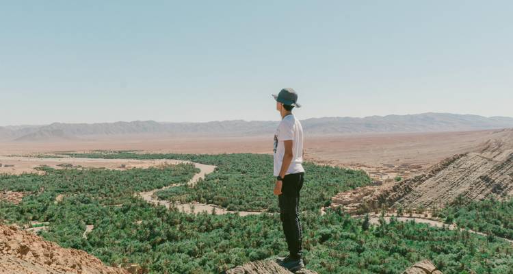 Personne debout devant une oasis du désert.