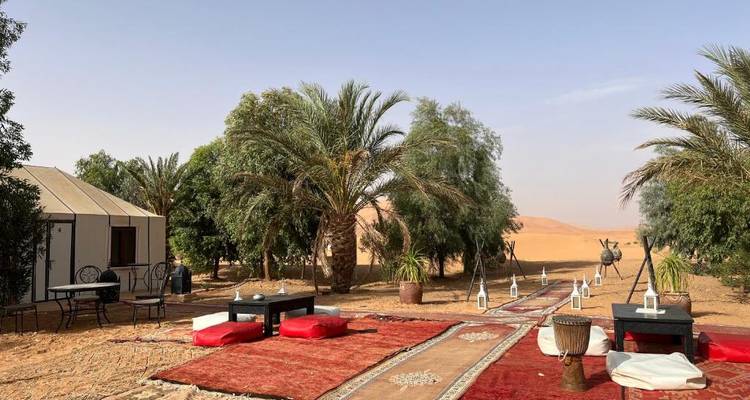 Installation de camp dans le désert en plein air avec sièges et plantes.