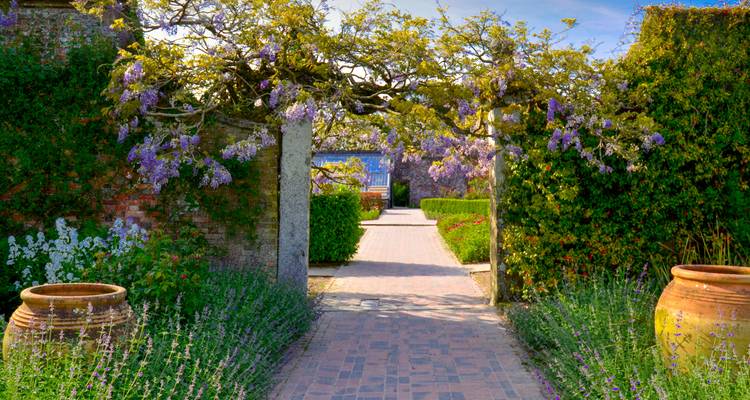 Beautiful garden pathway surrounded by blooming flowers.