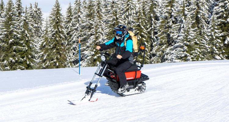 Person riding a snow bike in a snowy forested area.