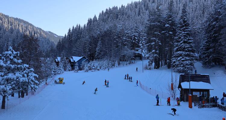 Ski slope with forested mountains around and skiers.