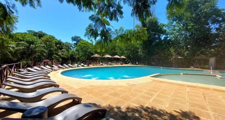 Einladender Poolbereich umgeben von üppigem Grün.