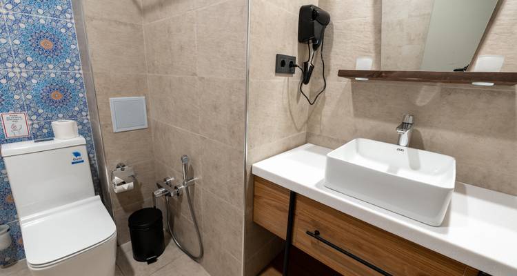 Moderne badkamer met een inloopdouche en toilet.