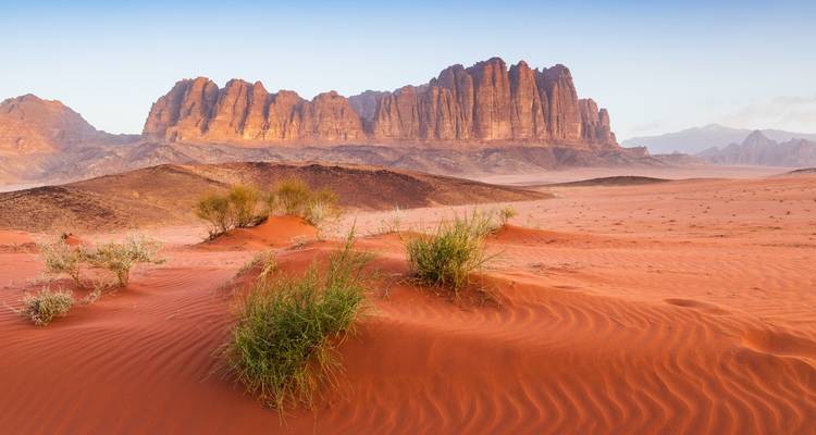 Désert de sable rouge avec végétation et hautes montagnes.