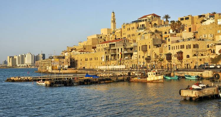 Seaside view with historic buildings on a hill.