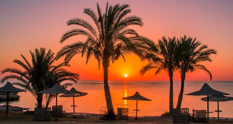 Sunset on a beach with palm trees and umbrellas.