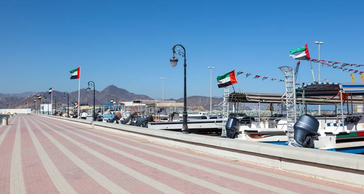 Marina con barcos y banderas a lo largo de un paseo peatonal.