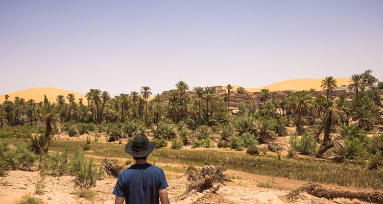 Une personne regardant une oasis luxuriante de palmiers avec des dunes de sable au loin.