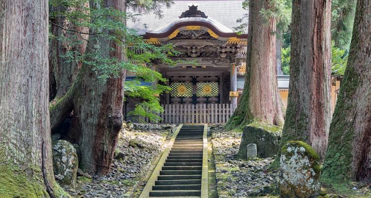Temple entrance surrounded by tall trees and stone path