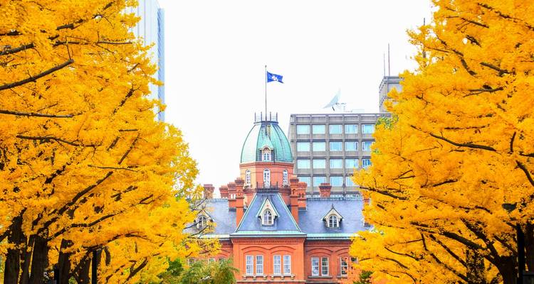 Rood bakstenen gebouw met een vlag en omgeven door levendige gele herfstbomen.