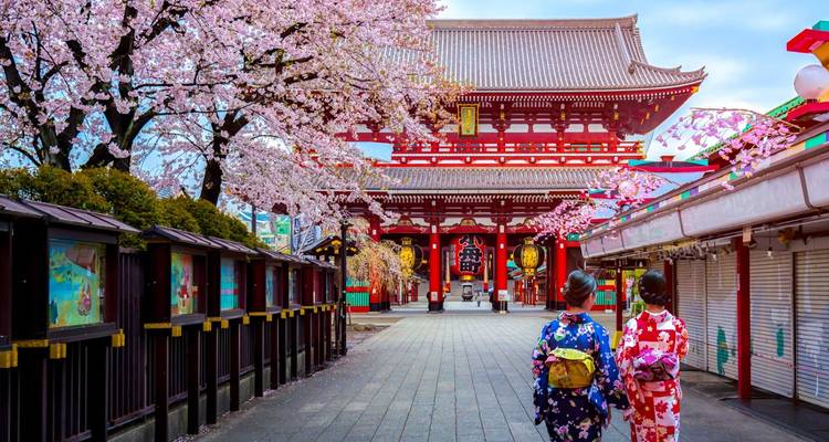 Two people in traditional attire at a temple with cherry blossoms.