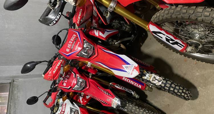 Parked red motorcycles indoors.