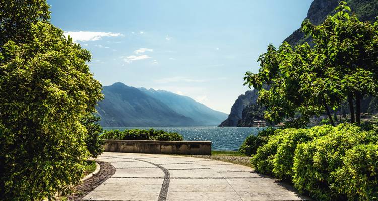 Vista del lago con montañas y vegetación exuberante.