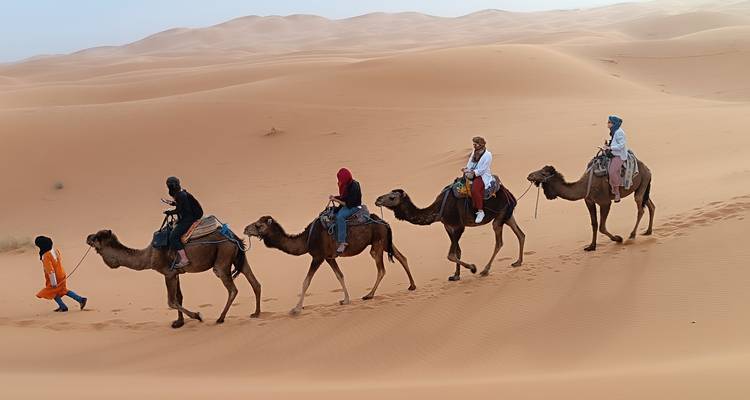 Rij kamelen die door de woestijn lopen met ruiters.