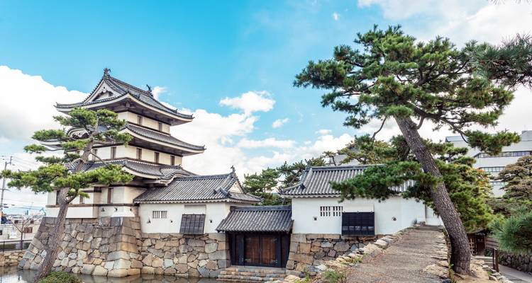 Traditionelle japanische Burg, umgeben von Kiefern und einem blauen Himmel.