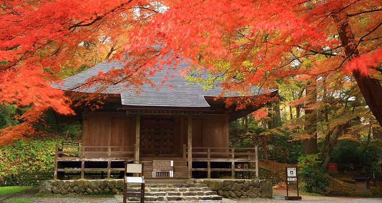 Edificio tradicional de madera rodeado de hojas de otoño.