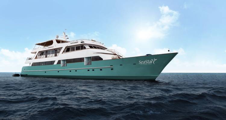 Cruise ship named Sea Star on the ocean under a bright sky.