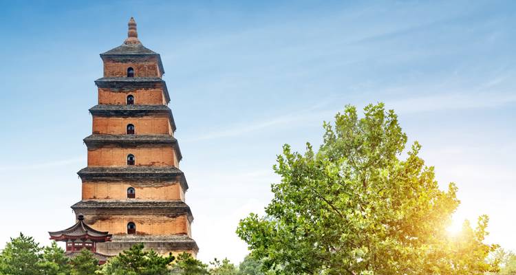 Pagoda Antigua del Ganso Salvaje entre vegetación con amanecer.