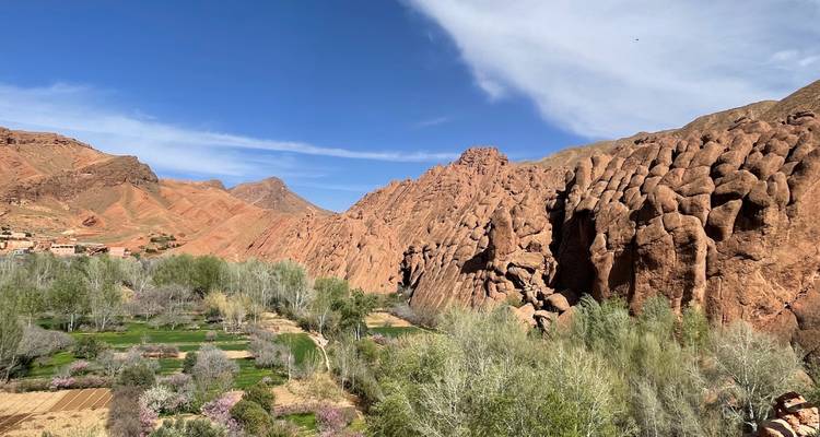 Vue panoramique de formations rocheuses rouges et de verdure.