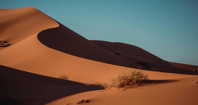 Grandes dunes de sable avec une végétation clairsemée.