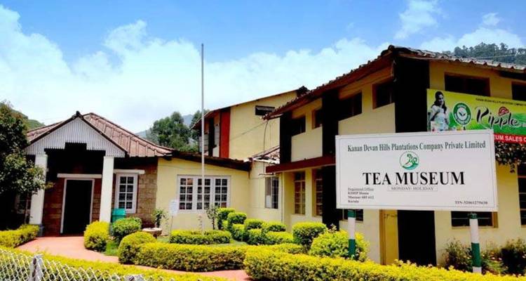 Vue extérieure d'un musée du thé entouré de verdure.