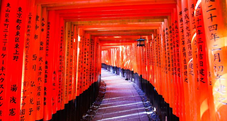 Pathway through a series of red torii gates.