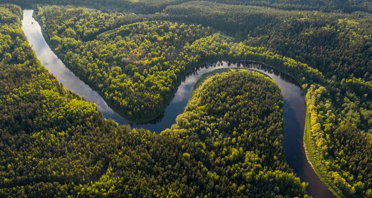Rivière sinueuse coulant à travers une forêt dense et verte.