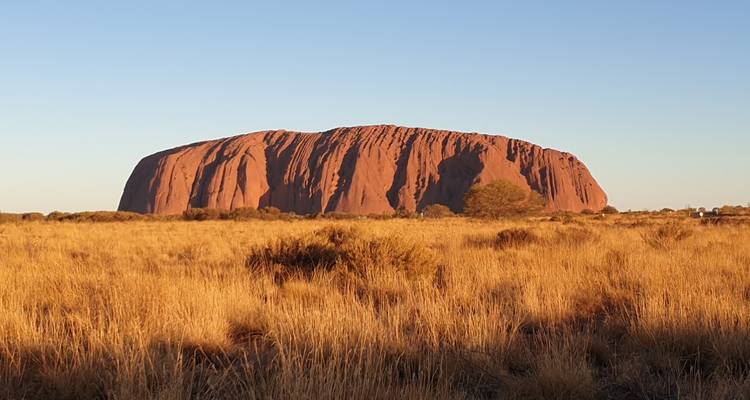 Uluru, een grote rode rotsformatie, in een veld.
