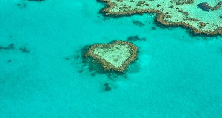 Hartvormige koraalformatie in helder blauw water, Great Barrier Reef.