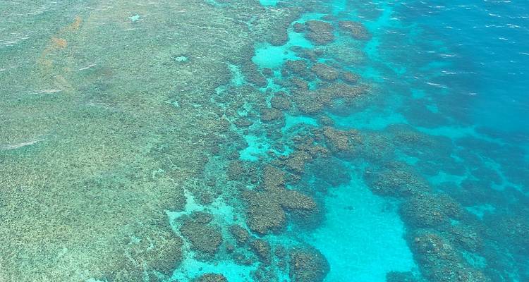 Luchtfoto van koraalriffen en turquoise wateren.