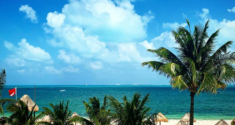 Palmiers et huttes près de l'océan avec un ciel bleu.