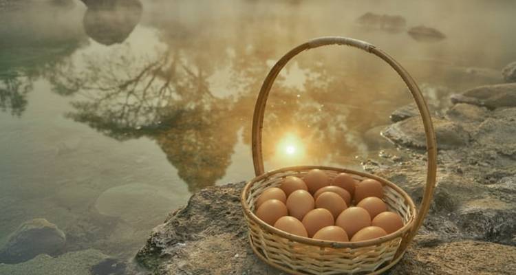 Panier d'œufs près d'une source chaude fumante.