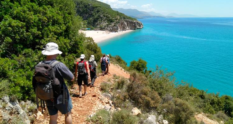 Group of people walking towards a beach with clear blue water.