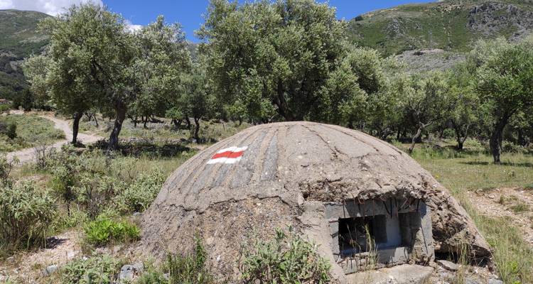Concrete bunker structure in a grassy landscape.