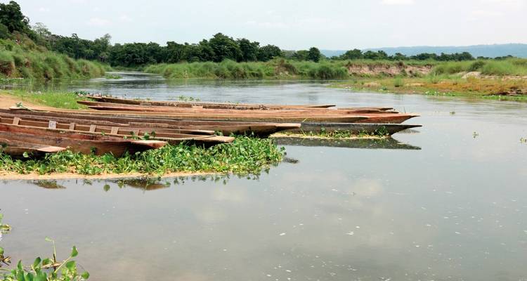 Houten boten opgesteld langs een kalme rivier.