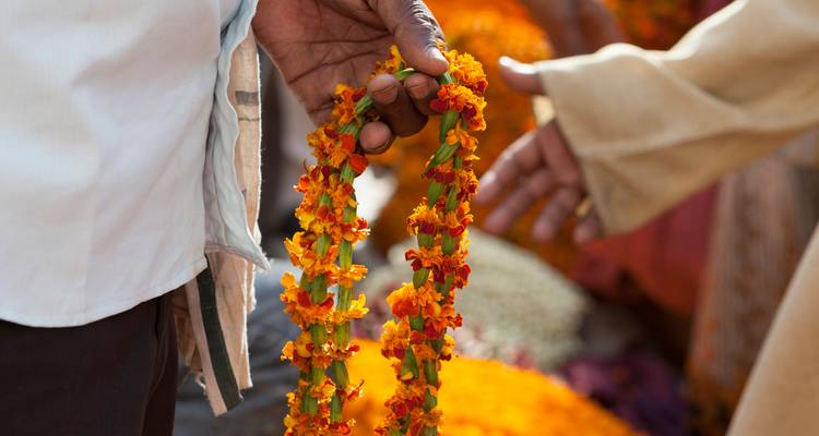 Hands offer a bright orange marigold garland in a bustling flower market.