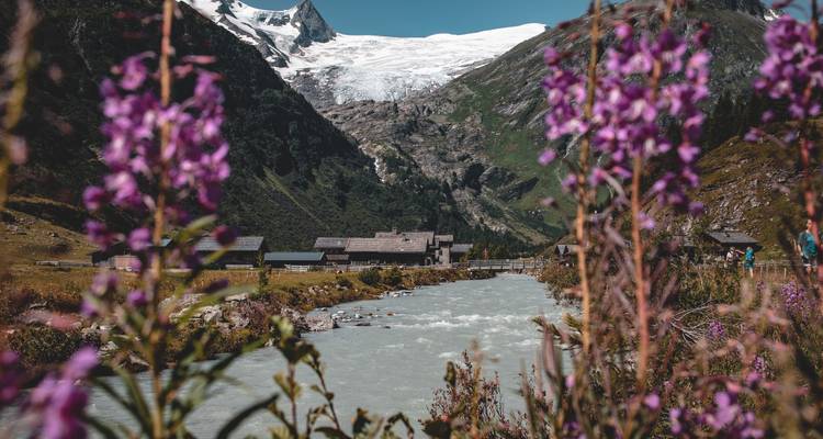 Fluss, der durch ein Bergtal fließt, mit Blumen im Vordergrund.