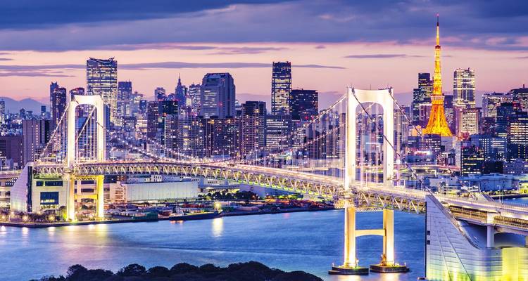 Nachtelijke uitzicht op Tokyos Rainbow Bridge verlicht met stadsgezicht en Tokyo Tower.