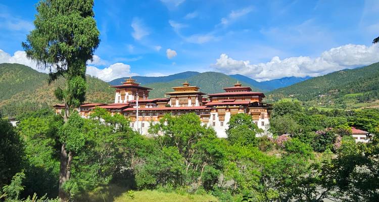 Punakha Dzong fortress monastery framed by lush trees with mountain backdrop under a bright blue sky.