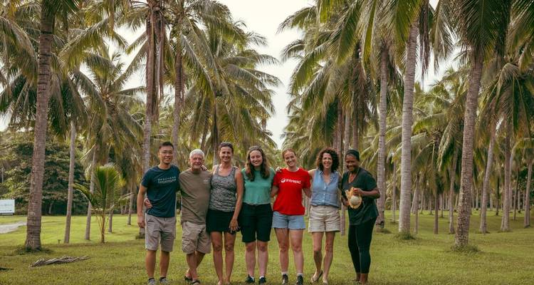 A group of seven people standing together on a path lined with palm trees.