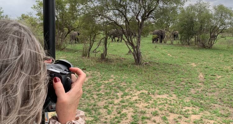 Personne prenant une photo d'éléphants dans un cadre de safari.