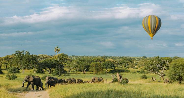 Des éléphants marchant près d'une montgolfière dans un paysage luxuriant.