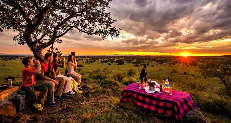 Des gens assis sous un arbre au coucher du soleil avec vue sur la savane.