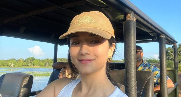 People in a vehicle enjoying a safari excursion.