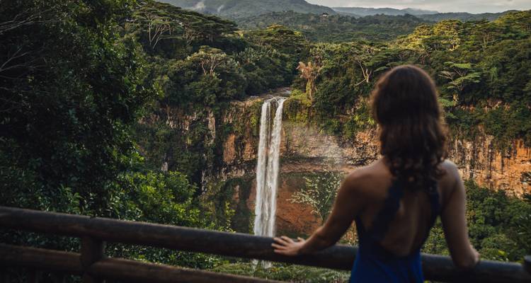 Person admiring a waterfall view surrounded by trees.