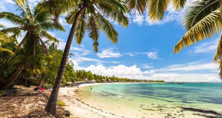 Beach with palm trees and clear water under a blue sky.
