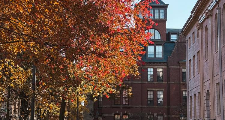 Un bâtiment en briques rouges avec des feuilles d'automne au premier plan.